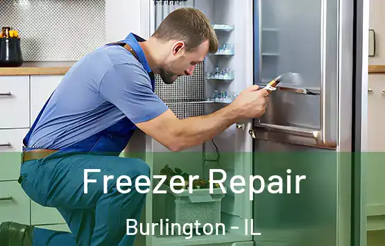  Freezer Repair Burlington - IL