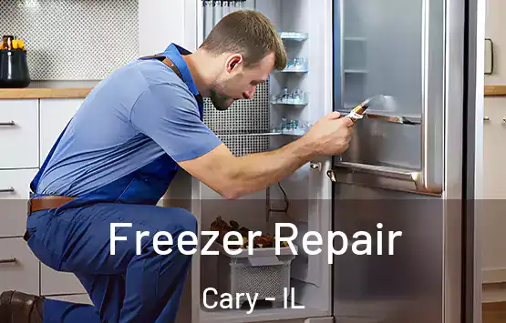  Freezer Repair Cary - IL