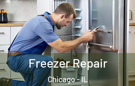  Freezer Repair Chicago - IL