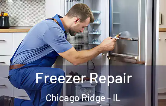  Freezer Repair Chicago Ridge - IL