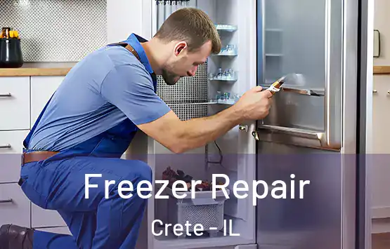  Freezer Repair Crete - IL