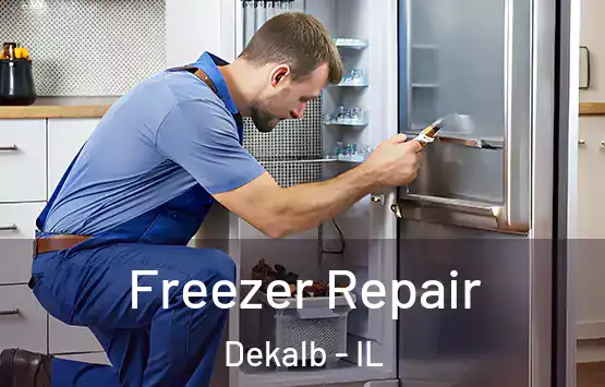  Freezer Repair Dekalb - IL