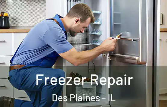  Freezer Repair Des Plaines - IL