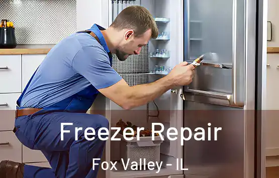  Freezer Repair Fox Valley - IL