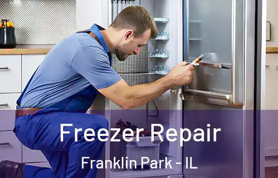  Freezer Repair Franklin Park - IL
