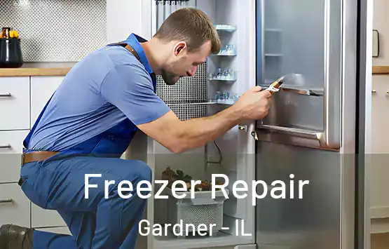  Freezer Repair Gardner - IL