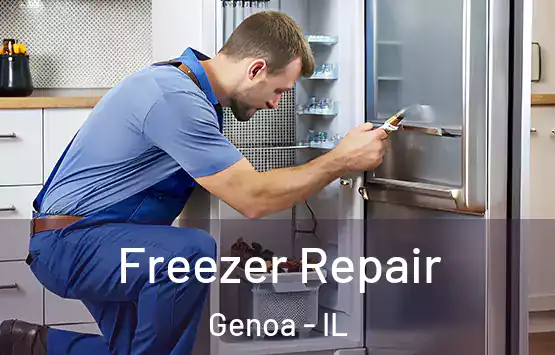  Freezer Repair Genoa - IL