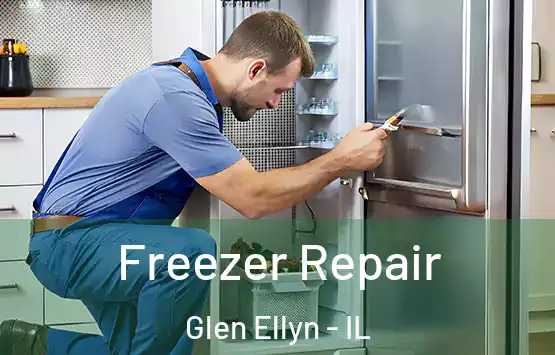  Freezer Repair Glen Ellyn - IL