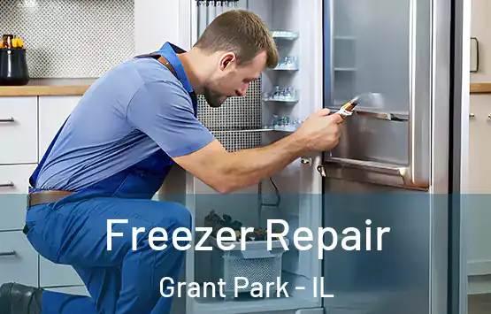  Freezer Repair Grant Park - IL