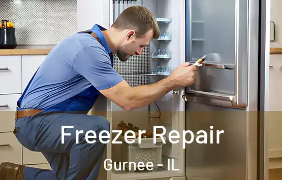  Freezer Repair Gurnee - IL