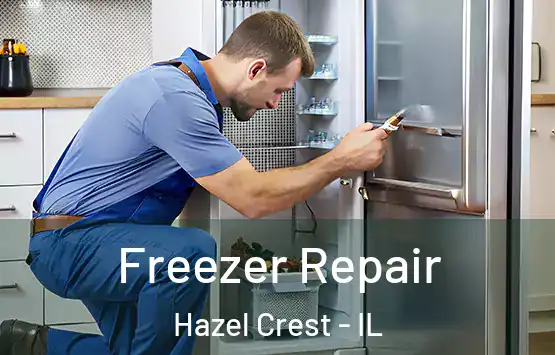  Freezer Repair Hazel Crest - IL