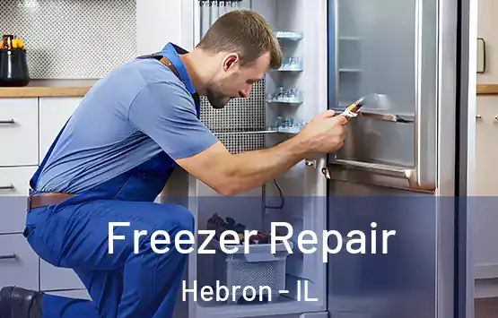  Freezer Repair Hebron - IL