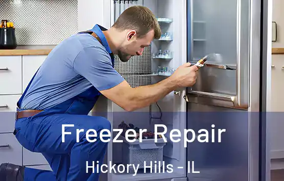  Freezer Repair Hickory Hills - IL