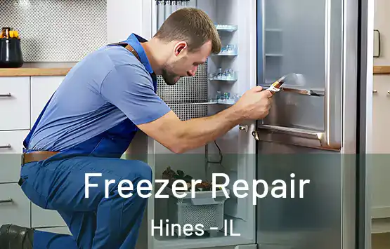  Freezer Repair Hines - IL