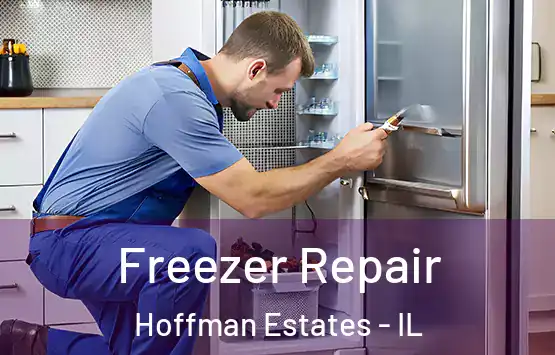  Freezer Repair Hoffman Estates - IL