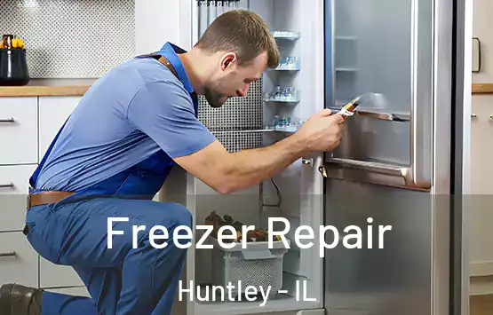  Freezer Repair Huntley - IL
