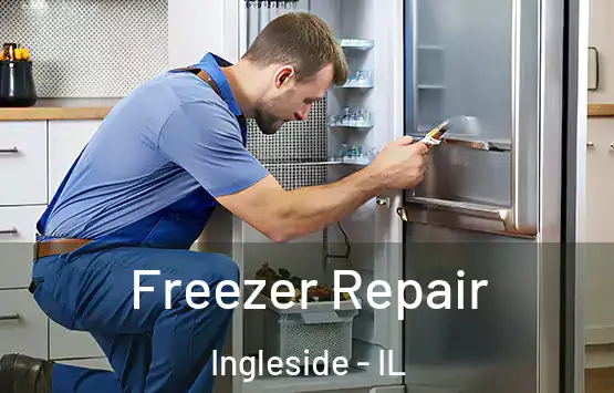  Freezer Repair Ingleside - IL