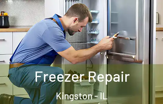  Freezer Repair Kingston - IL