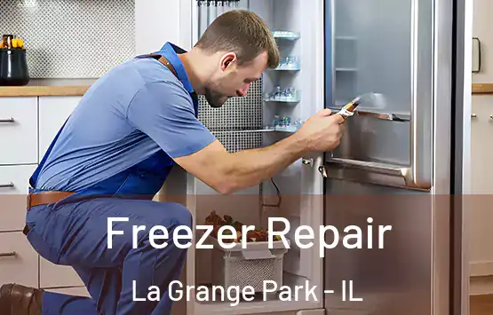  Freezer Repair La Grange Park - IL
