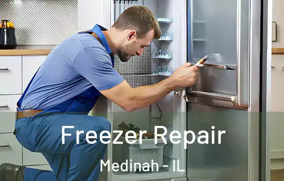  Freezer Repair Medinah - IL