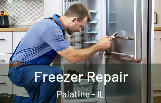  Freezer Repair Palatine - IL