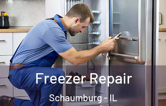  Freezer Repair Schaumburg - IL