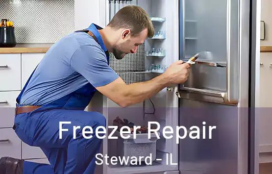  Freezer Repair Steward - IL