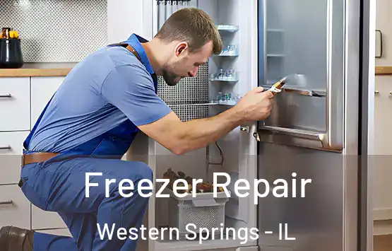  Freezer Repair Western Springs - IL