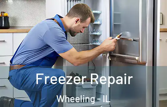  Freezer Repair Wheeling - IL