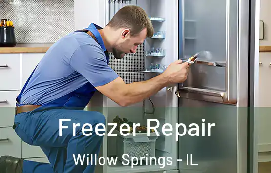  Freezer Repair Willow Springs - IL