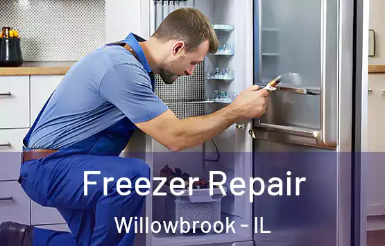  Freezer Repair Willowbrook - IL