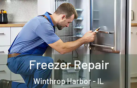  Freezer Repair Winthrop Harbor - IL