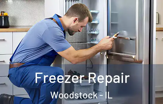  Freezer Repair Woodstock - IL