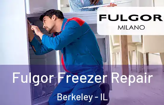  Fulgor Freezer Repair Berkeley - IL