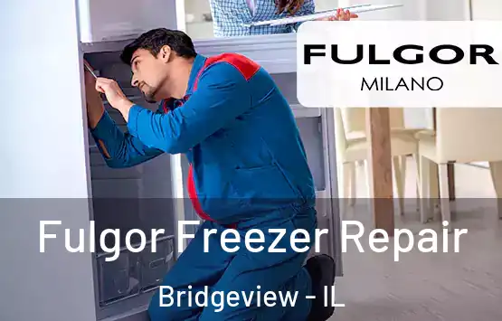 Fulgor Freezer Repair Bridgeview - IL