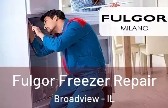  Fulgor Freezer Repair Broadview - IL