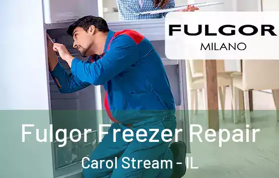  Fulgor Freezer Repair Carol Stream - IL