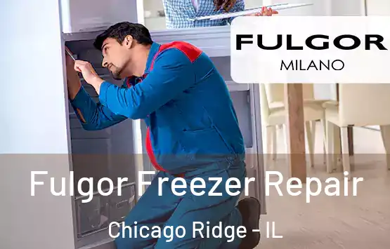 Fulgor Freezer Repair Chicago Ridge - IL