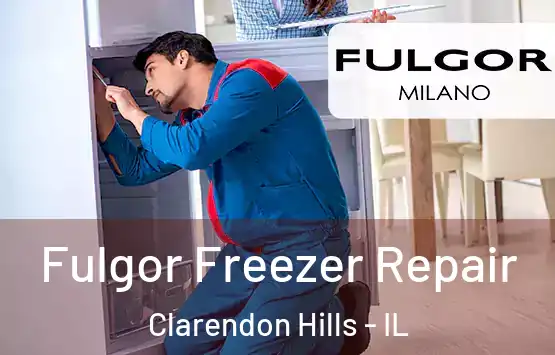  Fulgor Freezer Repair Clarendon Hills - IL
