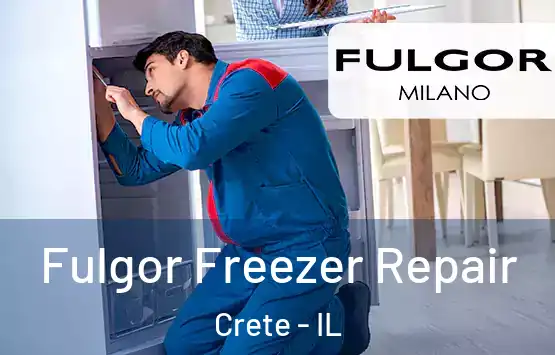  Fulgor Freezer Repair Crete - IL