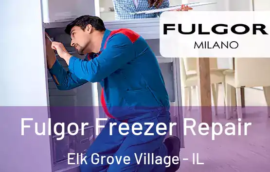  Fulgor Freezer Repair Elk Grove Village - IL