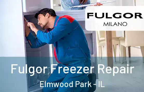  Fulgor Freezer Repair Elmwood Park - IL