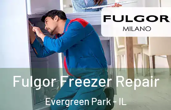  Fulgor Freezer Repair Evergreen Park - IL