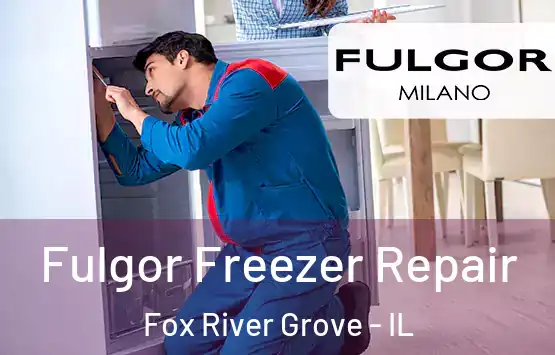  Fulgor Freezer Repair Fox River Grove - IL