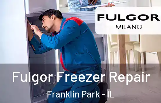  Fulgor Freezer Repair Franklin Park - IL