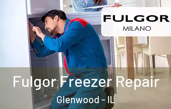  Fulgor Freezer Repair Glenwood - IL