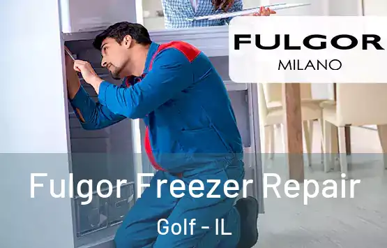  Fulgor Freezer Repair Golf - IL
