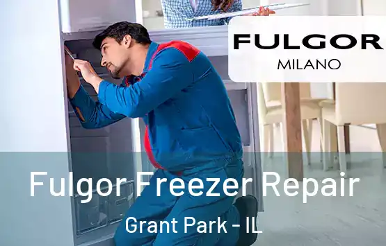  Fulgor Freezer Repair Grant Park - IL