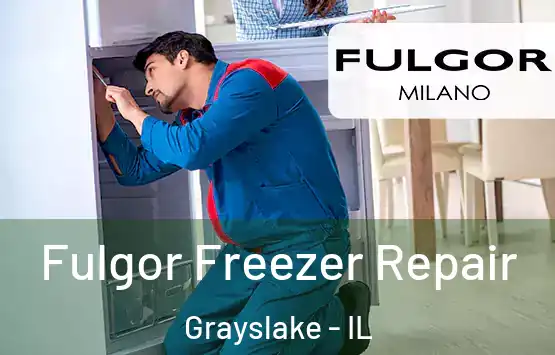  Fulgor Freezer Repair Grayslake - IL