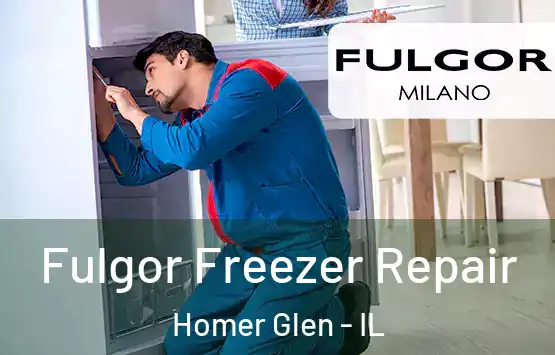  Fulgor Freezer Repair Homer Glen - IL